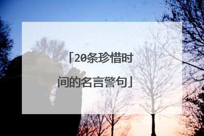20条珍惜时间的名言警句