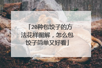 20种包饺子的方法花样图解,怎么包饺子简单又好看