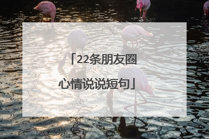 22条朋友圈心情说说短句