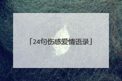 24句伤感爱情语录