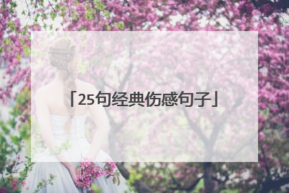 25句经典伤感句子