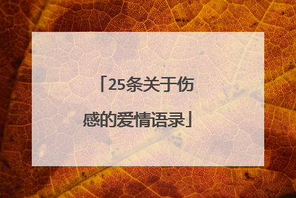 25条关于伤感的爱情语录