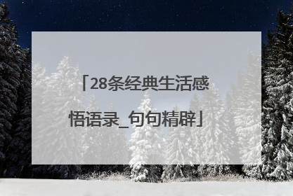 28条经典生活感悟语录_句句精辟
