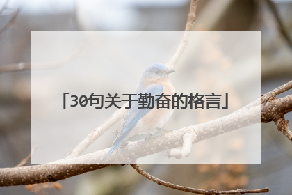 30句关于勤奋的格言