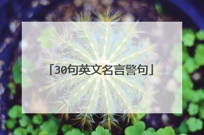 30句英文名言警句