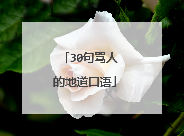 30句骂人的地道口语