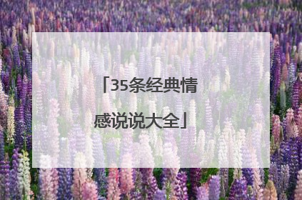 35条经典情感说说大全