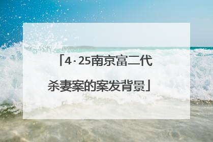 4·25南京富二代杀妻案的案发背景
