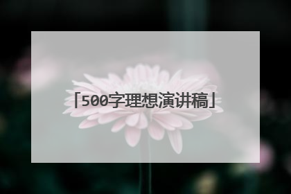 500字理想演讲稿