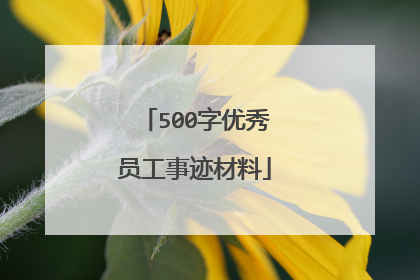 500字优秀员工事迹材料