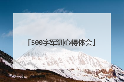 500字军训心得体会