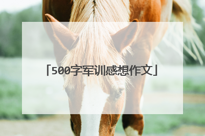 500字军训感想作文