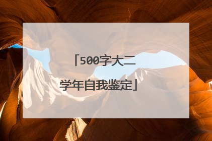 500字大二学年自我鉴定