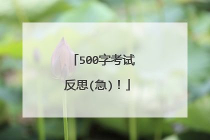 500字考试反思(急)!