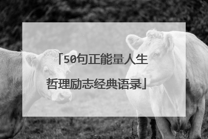 50句正能量人生哲理励志经典语录