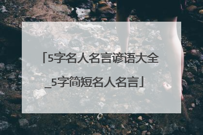 5字名人名言谚语大全_5字简短名人名言