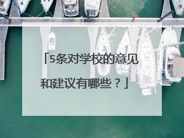 5条对学校的意见和建议有哪些？