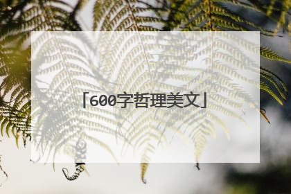 600字哲理美文