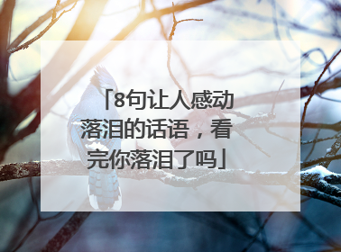 8句让人感动落泪的话语,看完你落泪了吗