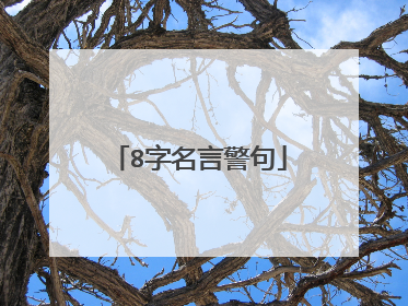 8字名言警句