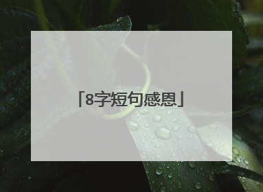8字短句感恩