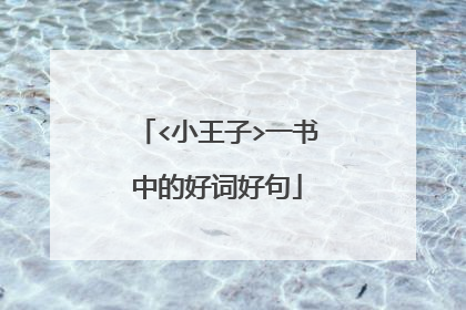 <小王子>一书中的好词好句
