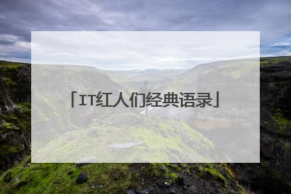 IT红人们经典语录
