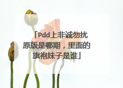 Pdd上非诚勿扰原版是哪期,里面的旗袍妹子是谁