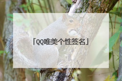 QQ唯美个性签名