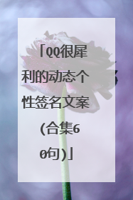 QQ很犀利的动态个性签名文案 (合集60句)