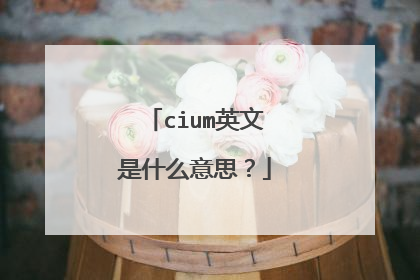 cium英文是什么意思？