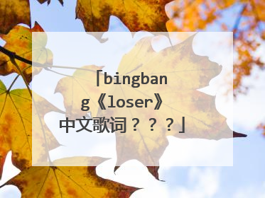bingbang《loser》中文歌词？？？