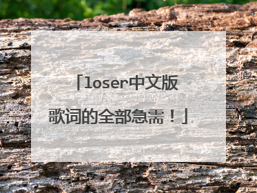loser中文版歌词的全部急需！