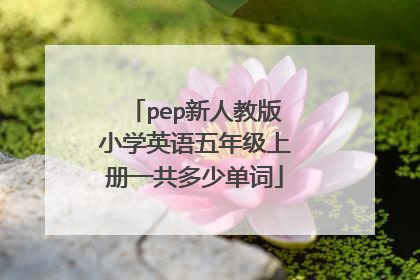 pep新人教版小学英语五年级上册一共多少单词