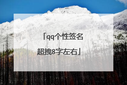 qq个性签名超拽8字左右
