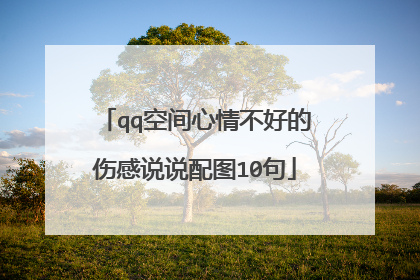 qq空间心情不好的伤感说说配图10句