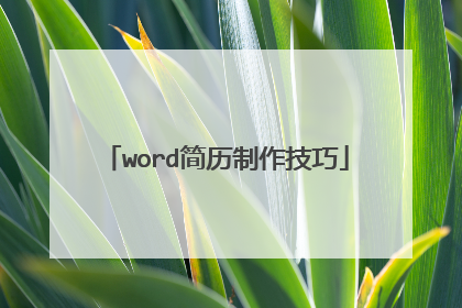 word简历制作技巧