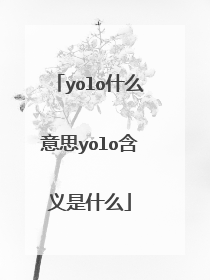 yolo什么意思yolo含义是什么
