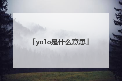 yolo是什么意思