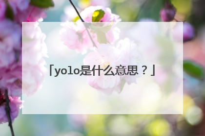 yolo是什么意思？