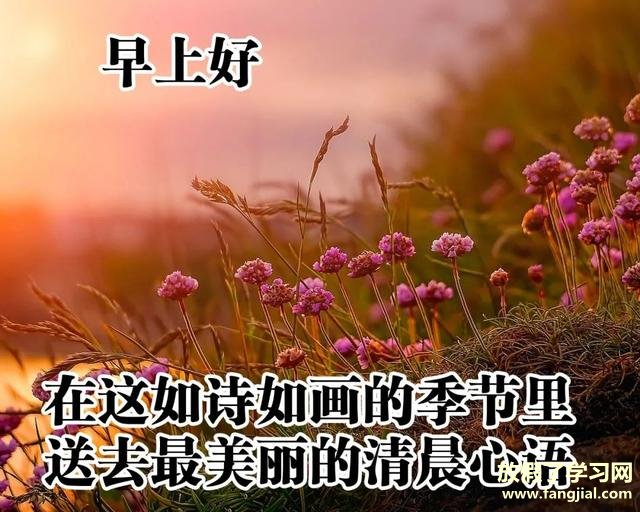 2021年最新祝福语图片,2021每日最新早安图片 微信早安问候语配图片最新版2021
