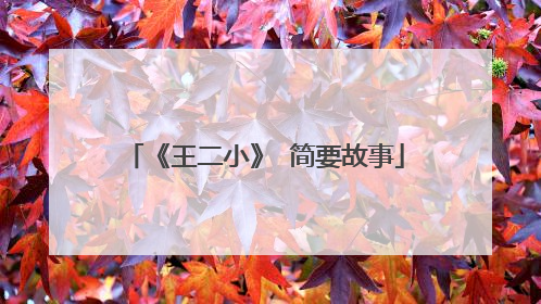 《王二小》 简要故事