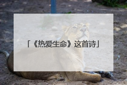 《热爱生命》这首诗