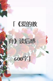 《爱的教育》读后感600字