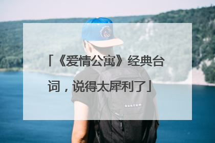 《爱情公寓》经典台词,说得太犀利了