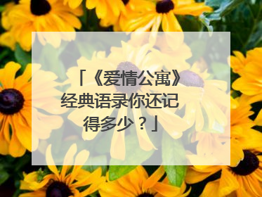 《爱情公寓》经典语录你还记得多少?