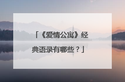 《爱情公寓》经典语录有哪些？