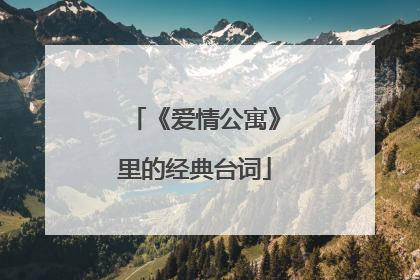 《爱情公寓》里的经典台词