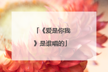 《爱是你我》是谁唱的