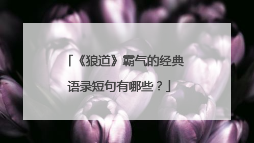 《狼道》霸气的经典语录短句有哪些？